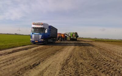 Voerbieten rooien en afvoeren onder droge omstandigheden.